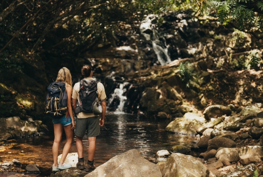 Bel Ombre Nature Reserve in Mauritius, covering 2,500 hectares of protected forest and wilderness