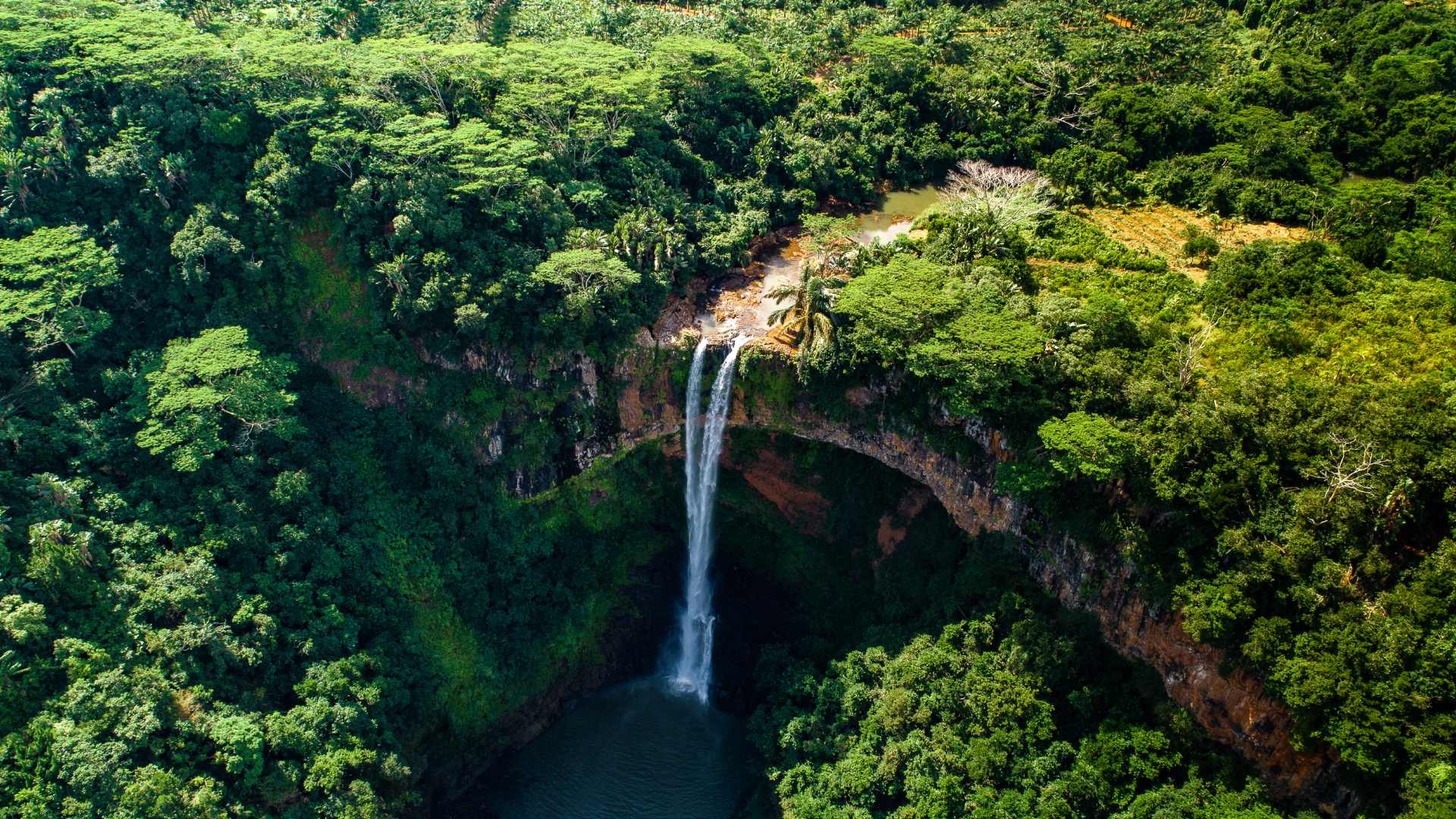 Parc national des Gorges de Rivière Noire à l’île Maurice
