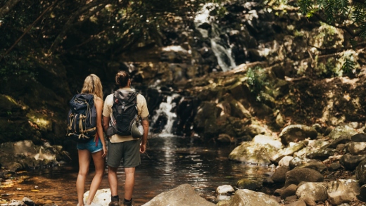 Team hiking through the scenic trails of Bel Ombre in the south of Mauritius