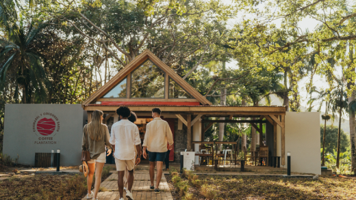 Coffee plantation tour in Mauritius, exploring lush green coffee fields and traditional processing
