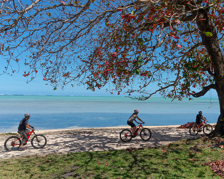 Balade à vélo électrique au Morne - avec ExploreNouZil