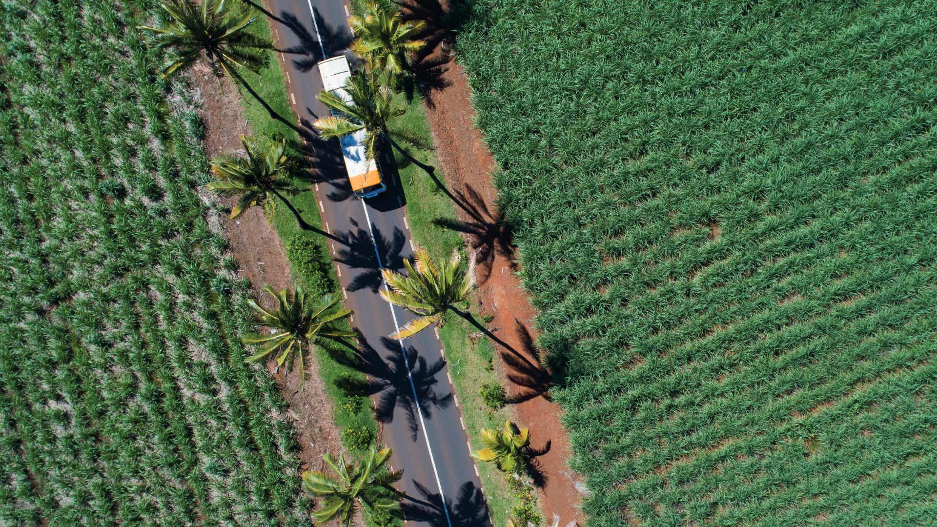 co-friendly public transportation in Bel Ombre supporting low-carbon travel