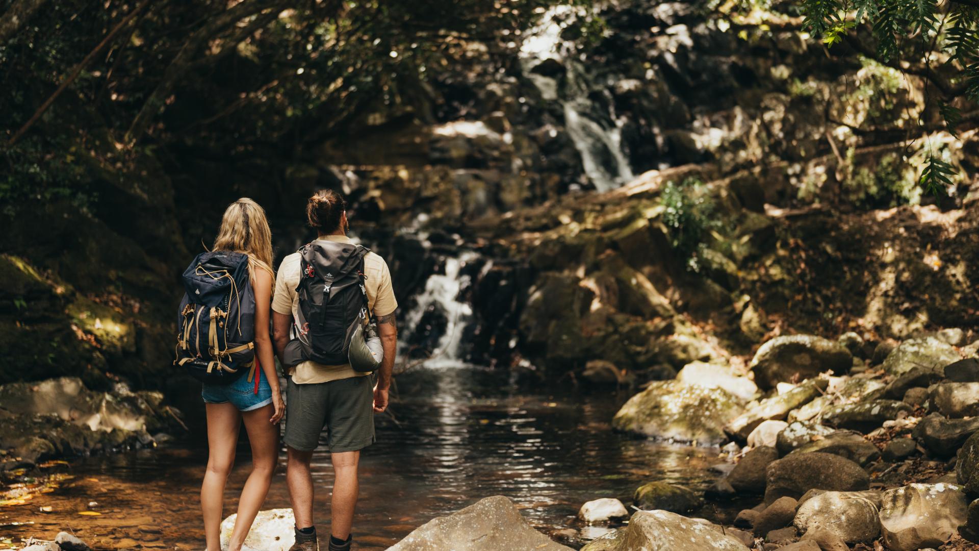 Hiking in Bel Ombre Nature Reserve, Mauritius