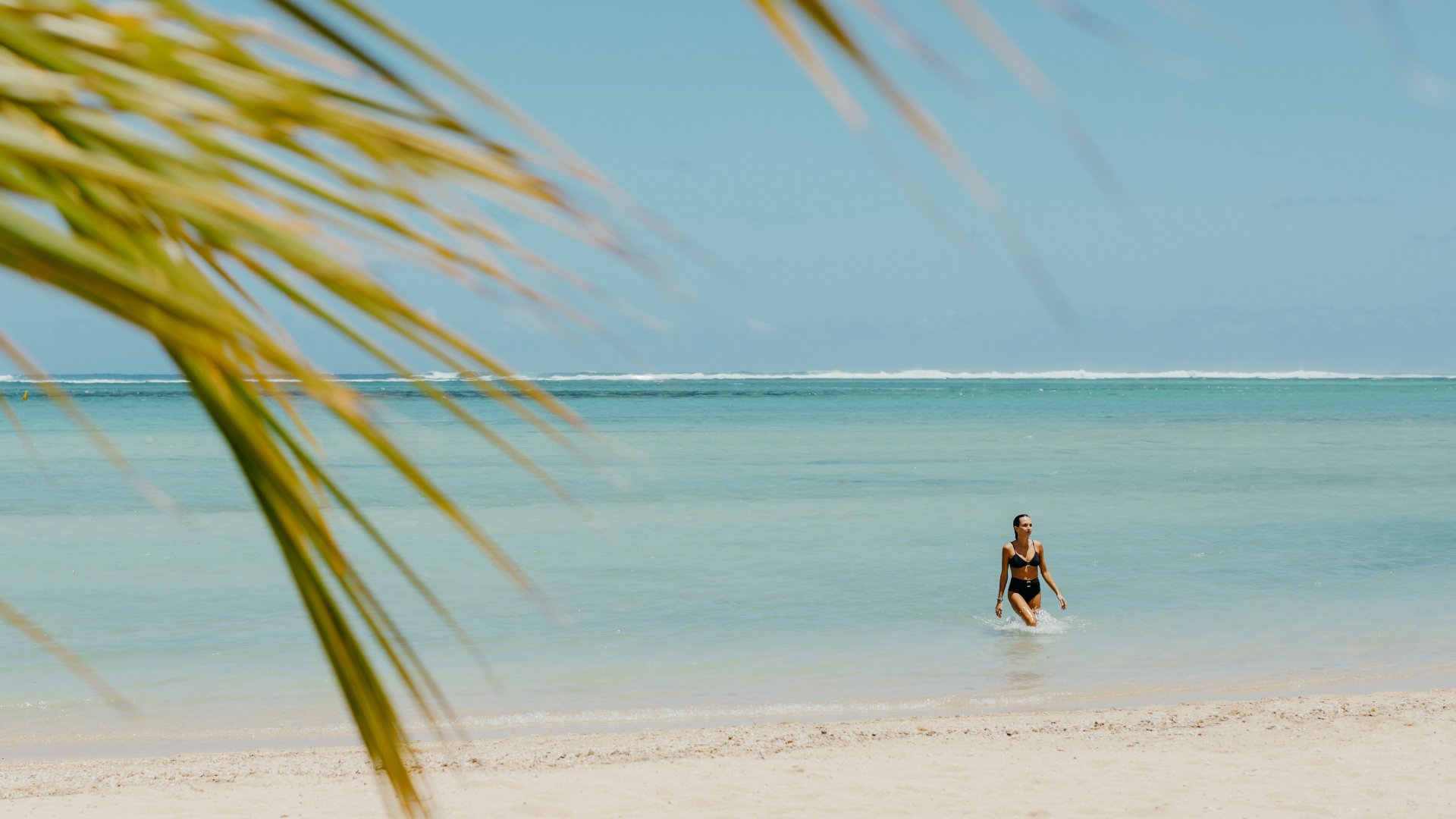 Aerial view of Bel Ombre territory in south-west Mauritius, where ocean, nature reserve and plantation estates meet