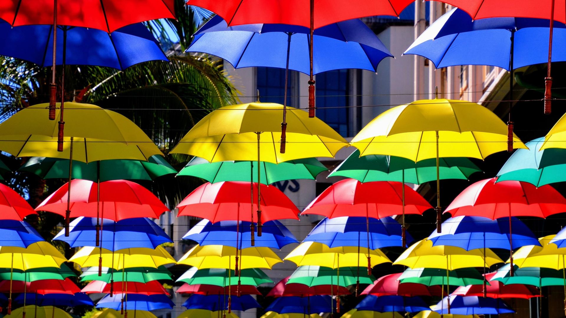 Mauritius: A Cultural Melting Pot Where Traditions, Flavours, and Communities Live as One