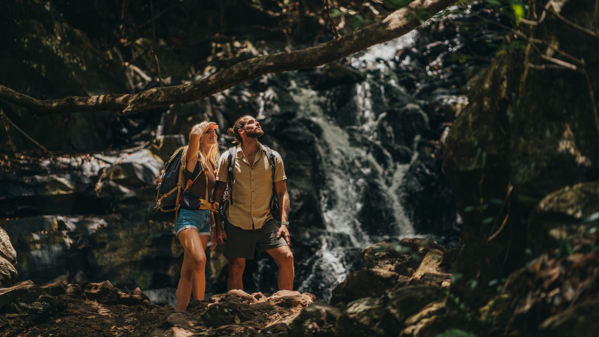 Bel Ombre Nature Reserve in Mauritius with lush greenery and tropical landscape