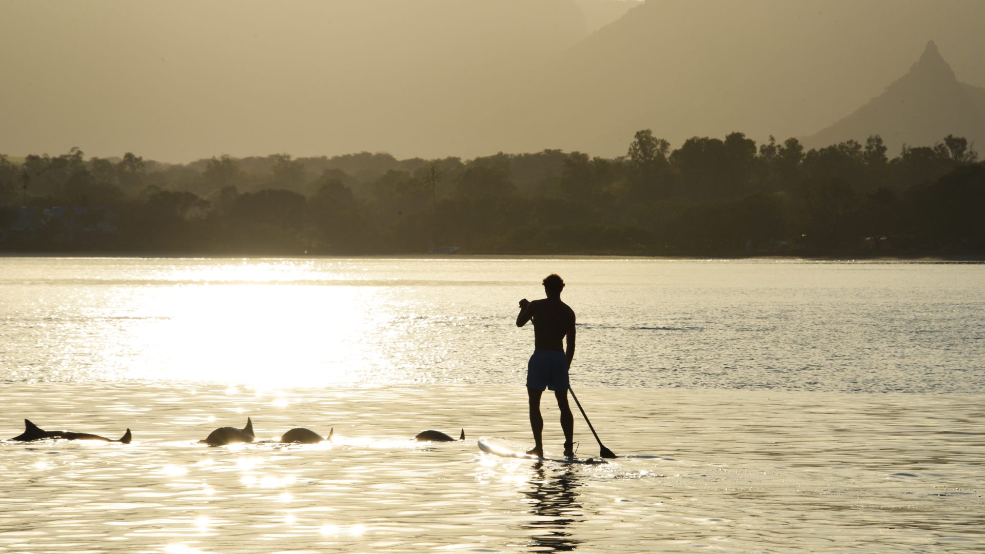 Stand-up paddle dans le lagon suivi d’une observation des dauphins au large de l’île Maurice
