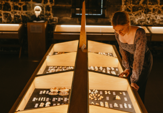 Visit to the World of Seashells museum in Mauritius