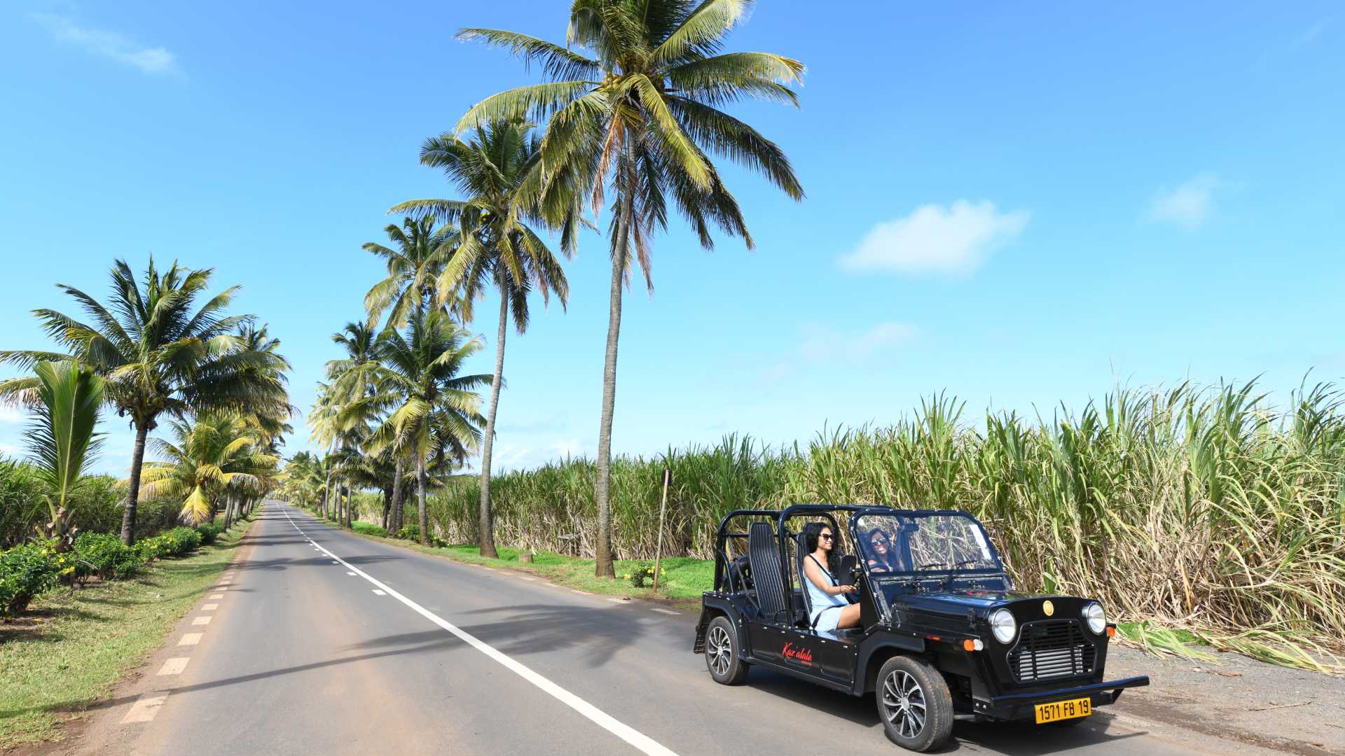 A man drives a jeep along a palm tree-lined road in the south of Mauritius.
