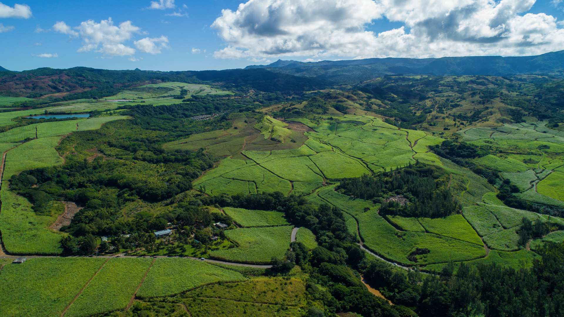 Natural landscape of Bel Ombre estate, blending forest, plantation and wilderness in south-west Mauritius