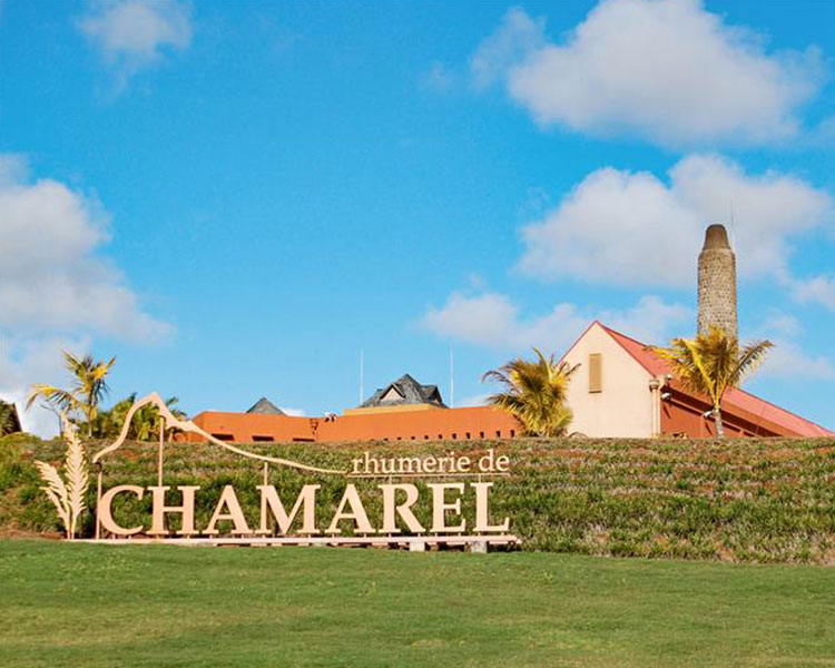 Visite de la Rhumerie de Chamarel