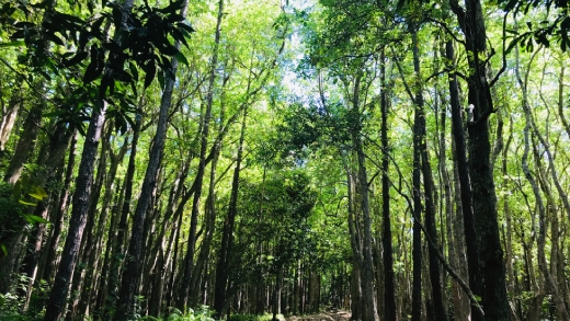 Sustainable conservation of biodiversity